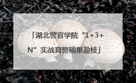 湖北警官学院“1+3+N”实战育警硕果盈枝