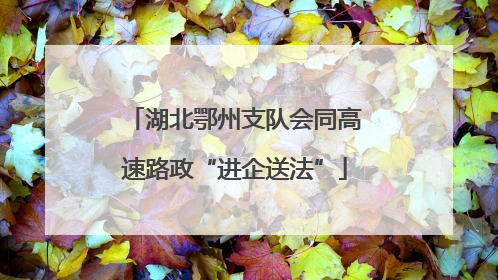 湖北鄂州支队会同高速路政“进企送法”