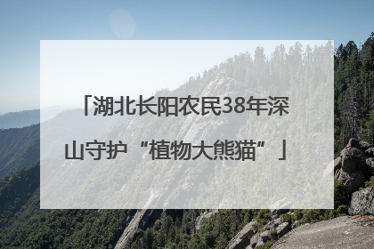 湖北长阳农民38年深山守护“植物大熊猫”