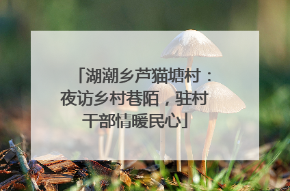 湖潮乡芦猫塘村：夜访乡村巷陌，驻村干部情暖民心