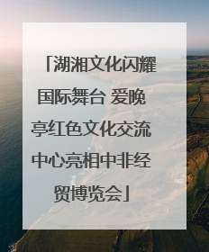 湖湘文化闪耀国际舞台 爱晚亭红色文化交流中心亮相中非经贸博览会