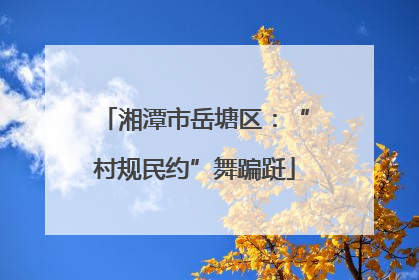 湘潭市岳塘区：“村规民约”舞蹁跹
