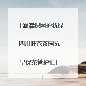 滴灌织网护新绿 四川旺苍茶园抗旱保茶管护忙