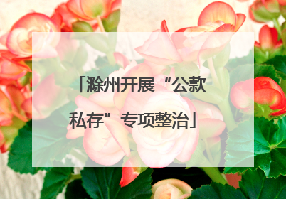 滁州开展“公款私存”专项整治