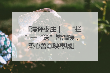 漫评枣庄｜一“拦”一“送”皆温暖，柔心善意映枣城
