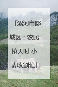 漯河市郾城区：农民抢天时 小麦收割忙