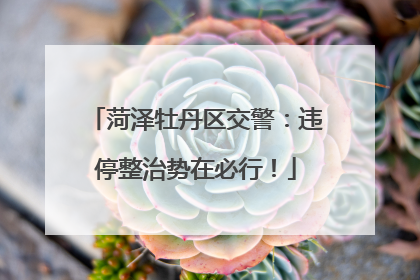 菏泽牡丹区交警：违停整治势在必行！