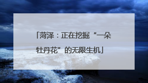 菏泽：正在挖掘“一朵牡丹花”的无限生机