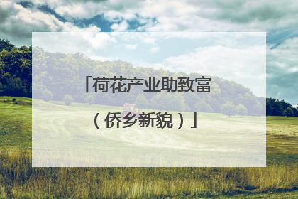 荷花产业助致富（侨乡新貌）