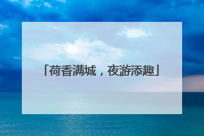 荷香满城，夜游添趣