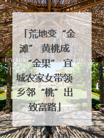 荒地变“金滩” 黄桃成“金果” 宜城农家女带领乡邻“桃”出致富路
