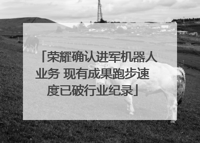 荣耀确认进军机器人业务 现有成果跑步速度已破行业纪录
