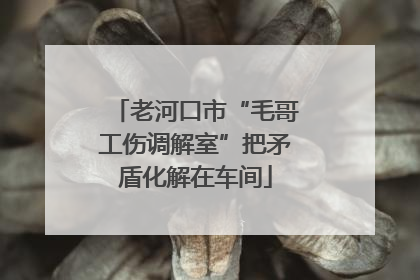老河口市“毛哥工伤调解室”把矛盾化解在车间