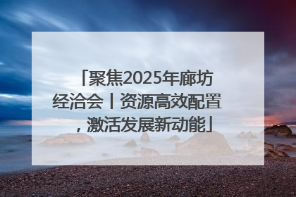 聚焦2025年廊坊经洽会丨资源高效配置，激活发展新动能