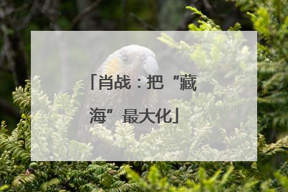 肖战：把“藏海”最大化