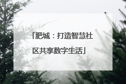 肥城：打造智慧社区共享数字生活
