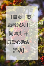 自贡：志愿者深入田间地头 开展爱心助农活动