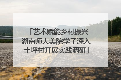 艺术赋能乡村振兴 湖南师大美院学子深入土坪村开展实践调研