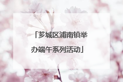 芗城区浦南镇举办端午系列活动