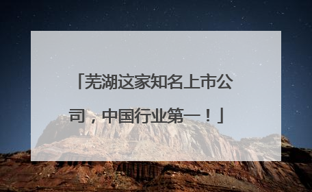 芜湖这家知名上市公司，中国行业第一！