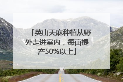英山天麻种植从野外走进室内，每亩提产50%以上