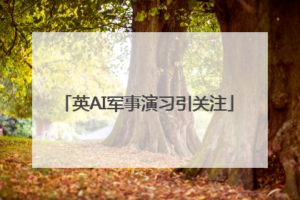 英AI军事演习引关注