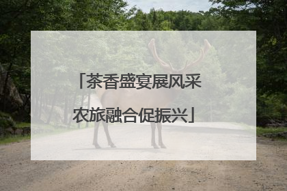 茶香盛宴展风采 农旅融合促振兴