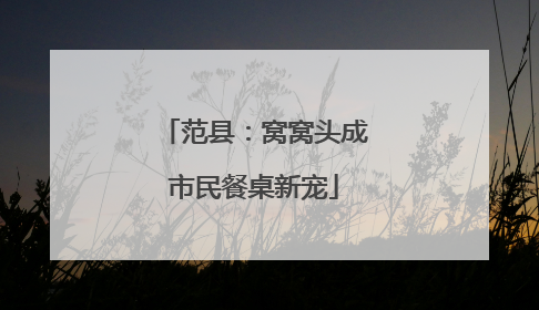 范县：窝窝头成市民餐桌新宠