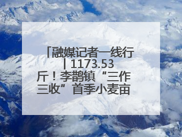 融媒记者一线行丨1173.53斤！李鹊镇“三作三收”首季小麦亩产创新高