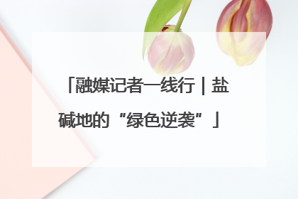 融媒记者一线行｜盐碱地的“绿色逆袭”