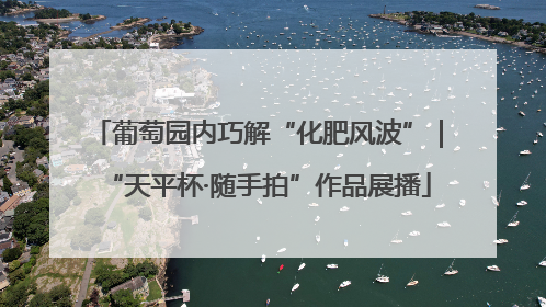 葡萄园内巧解“化肥风波”｜“天平杯·随手拍”作品展播