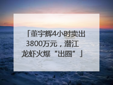 董宇辉4小时卖出3800万元，潜江龙虾火爆“出圈”