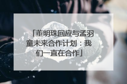董明珠回应与孟羽童未来合作计划：我们一直在合作