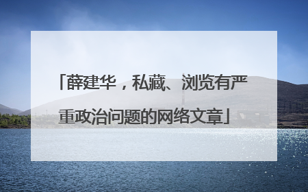 薛建华，私藏、浏览有严重政治问题的网络文章