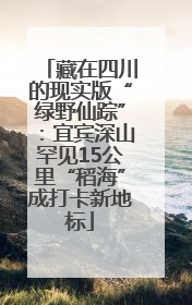 藏在四川的现实版“绿野仙踪”：宜宾深山罕见15公里“稻海”成打卡新地标