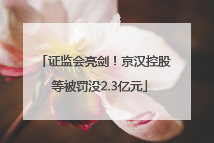 证监会亮剑！京汉控股等被罚没2.3亿元