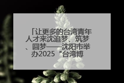 让更多的台湾青年人才来沈追梦、筑梦、圆梦——沈阳市举办2025“台湾博士沈阳行”活动