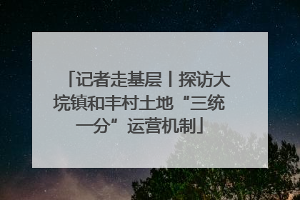 记者走基层丨探访大垸镇和丰村土地“三统一分”运营机制