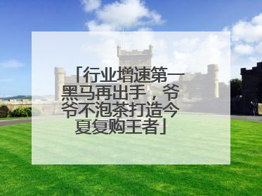 行业增速第一黑马再出手，爷爷不泡茶打造今夏复购王者