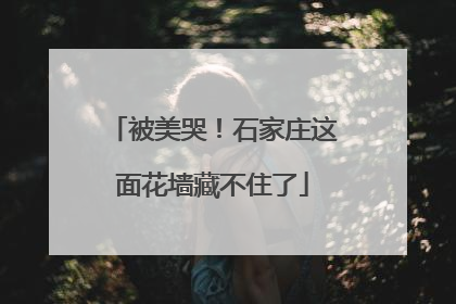 被美哭！石家庄这面花墙藏不住了