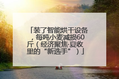 装了智能烘干设备，每吨小麦减损60斤（经济聚焦·夏收里的“新选手”）