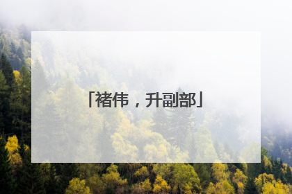 褚伟，升副部
