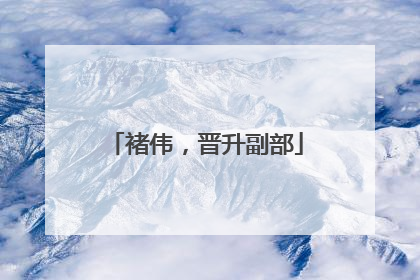 褚伟，晋升副部