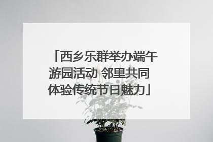 西乡乐群举办端午游园活动 邻里共同体验传统节日魅力
