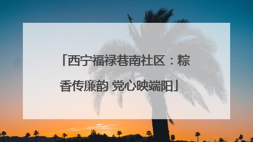 西宁福禄巷南社区：粽香传廉韵 党心映端阳