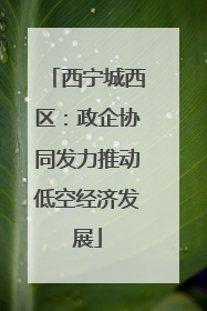西宁城西区：政企协同发力推动低空经济发展