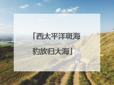 西太平洋斑海豹放归大海
