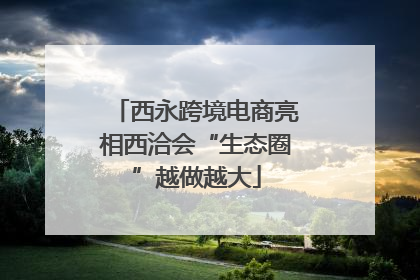 西永跨境电商亮相西洽会“生态圈”越做越大