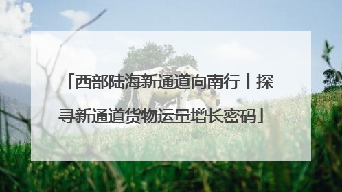 西部陆海新通道向南行丨探寻新通道货物运量增长密码