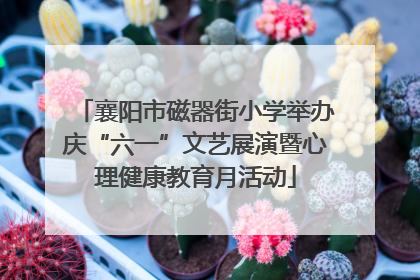 襄阳市磁器街小学举办庆“六一”文艺展演暨心理健康教育月活动